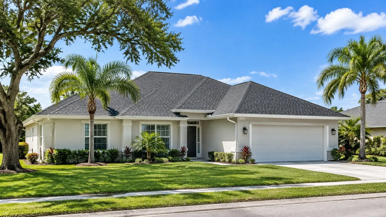 Single-story Clearwater stucco home with a new charcoal shingle roof, palm trees and a live oak